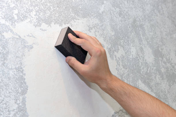 Best Mold Damage Restoration  in Arapahoe, WY