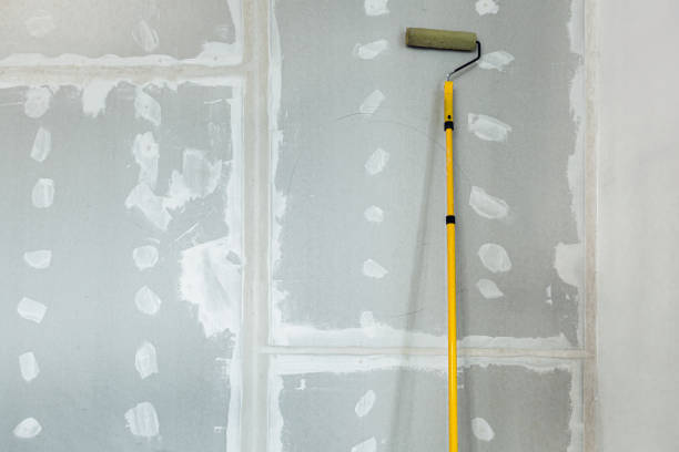 Best Residential Mold Inspection & Testing  in Arapahoe, WY