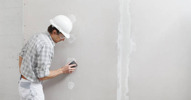 Mold Remediation for Vacation Homes in Arapahoe, WY