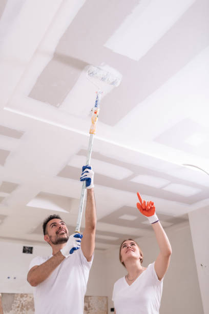 Best Comprehensive Air Testing for Mold Contaminants  in Arapahoe, WY