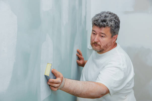 Best Black Mold Removal  in Arapahoe, WY