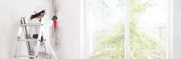 Best Water Damage & Mold Remediation  in Arapahoe, WY