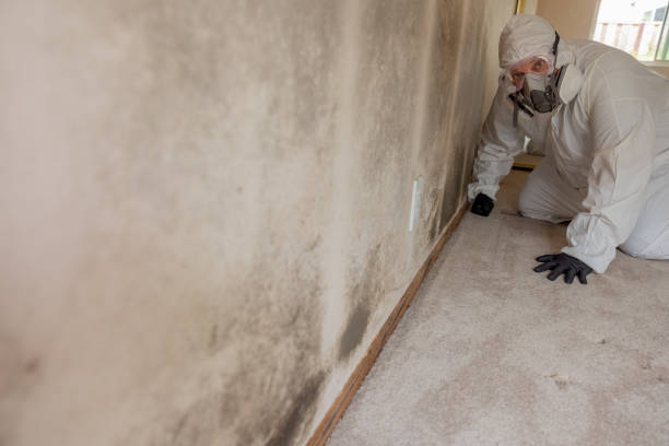 Best Indoor Air Quality Assessment  in Arapahoe, WY