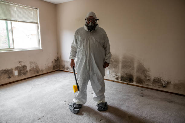 Asbestos and Lead Testing During Mold Inspection in Arapahoe, WY