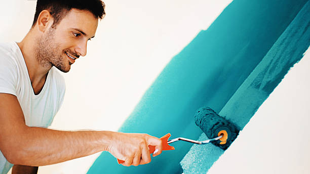 Trusted Arapahoe, WY Mold Removal Experts