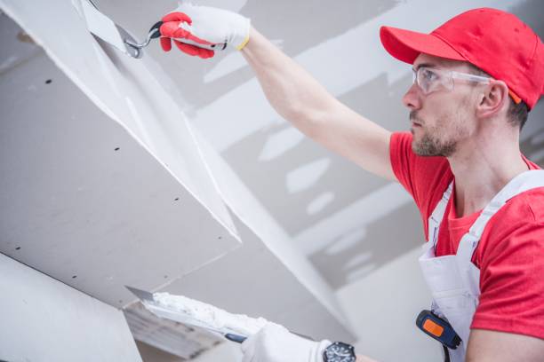 Best Air Quality Testing for Mold Spores  in Arapahoe, WY