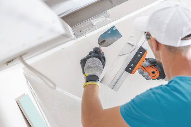 Best Attic Mold Removal  in Arapahoe, WY